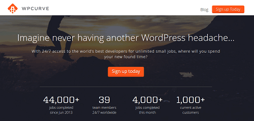 WordPress Developer - WP Curve
