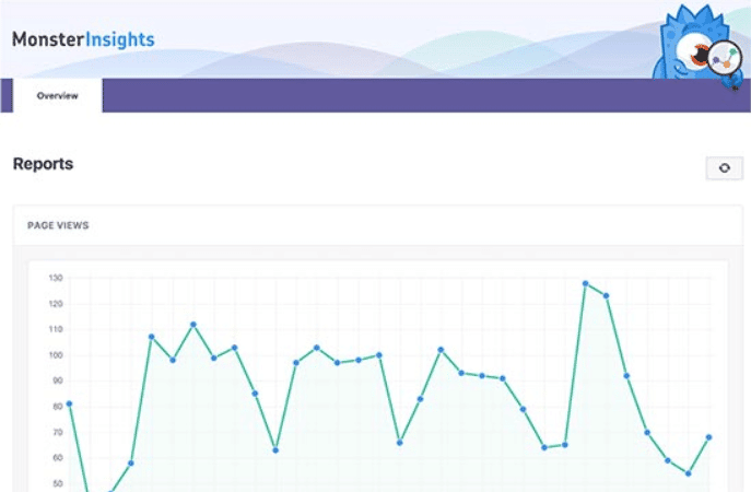 Google Analytics - MonsterInsights - Dashboard Reports