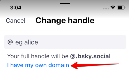 BlueSky Change Handle screen with red arrow pointing to "I have my own domain"