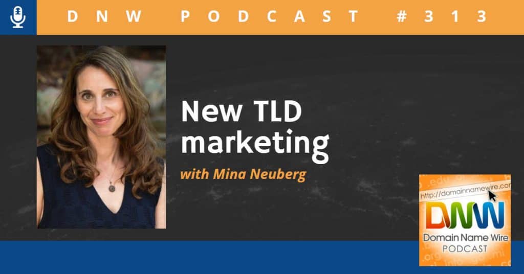 Picture of Mina Neuberg with the words "New TLD marketing" and Domain Name Wire Podcsat #313