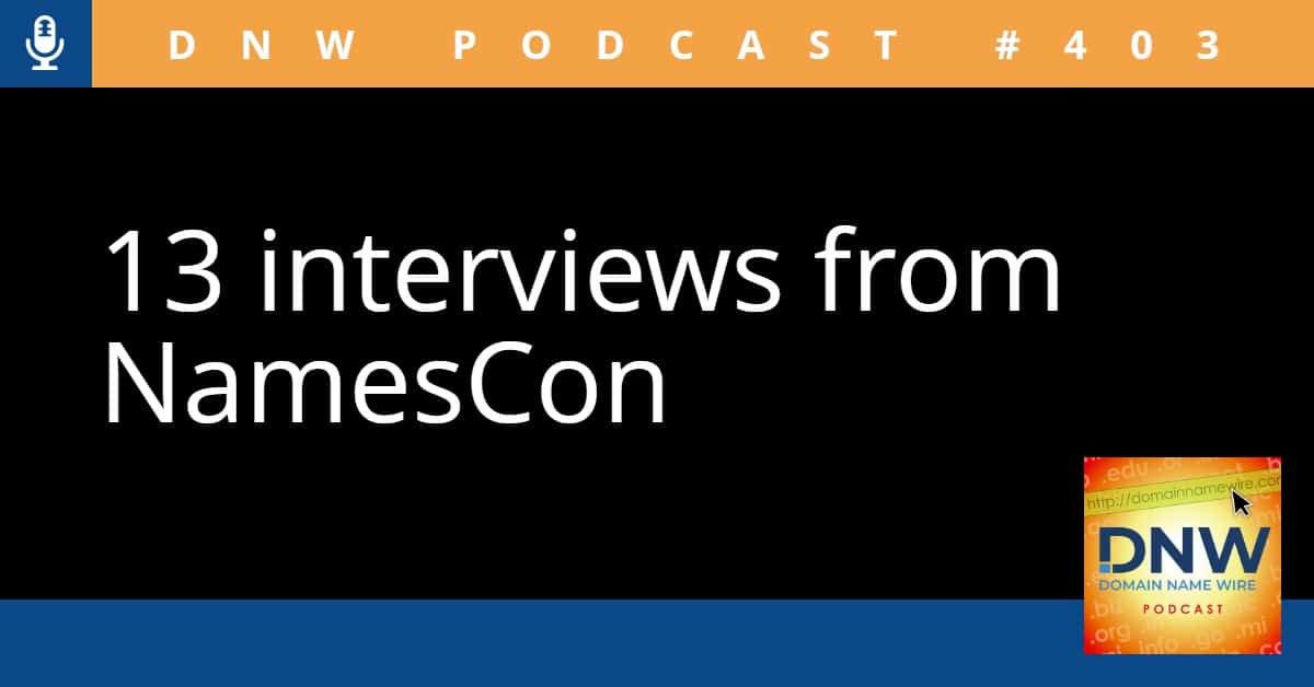 the words "13 interviews from NamesCon" on a black background