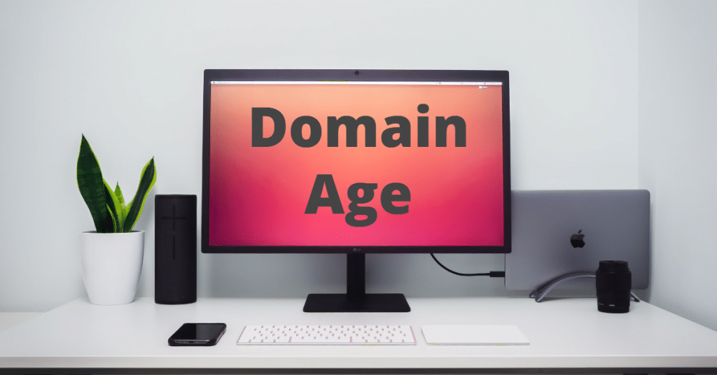 A computer monitor with the words "domain age"