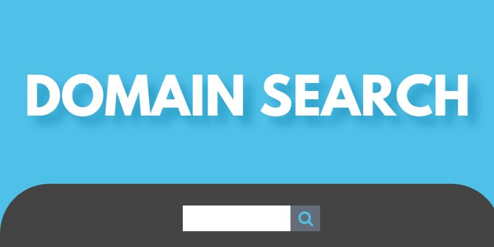 Graphic with the words Domain Search above a search box
