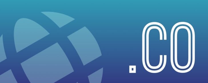 .co on a background with an earth icon