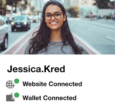 Picture of a Kred profile showing it's connected to a website and wallet