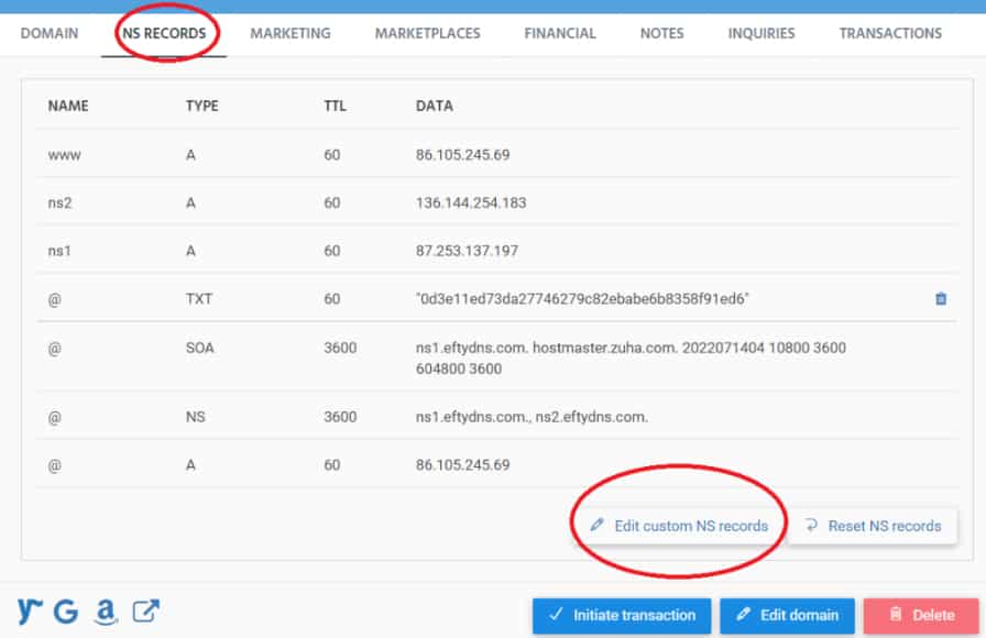 Screenshot shows Efty DNS management with NS record, TXT record