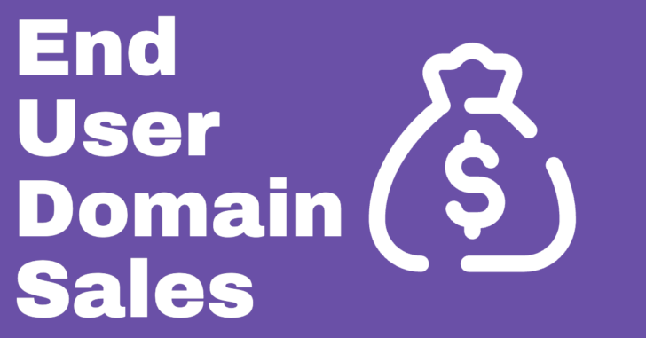 "end user domain sales" in white text next to a money bag on a purple background