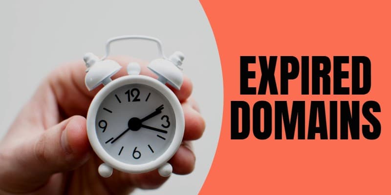 Read more about the article Taking an expired domain cleanse