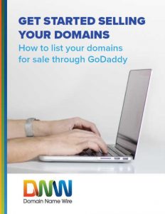 Cover for report title "Get Started Selling Your Domains" with image of hands typing on a laptop.