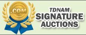 GoDaddy auctions