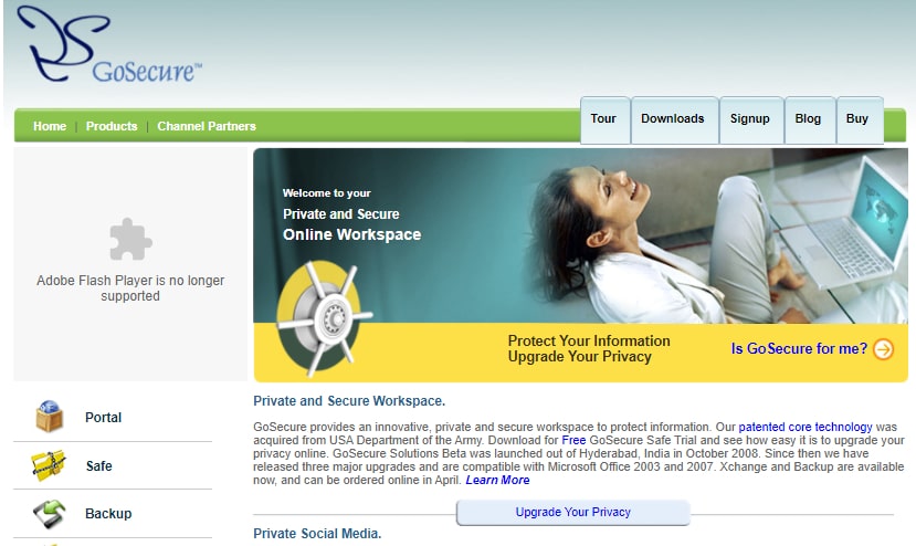 Screenshot of GoSecure.com domain name in 2010