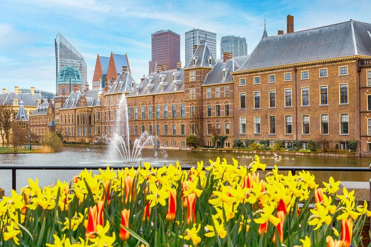 Old building in The Hague with skyscrapers in the background and water and flowers in the foreground