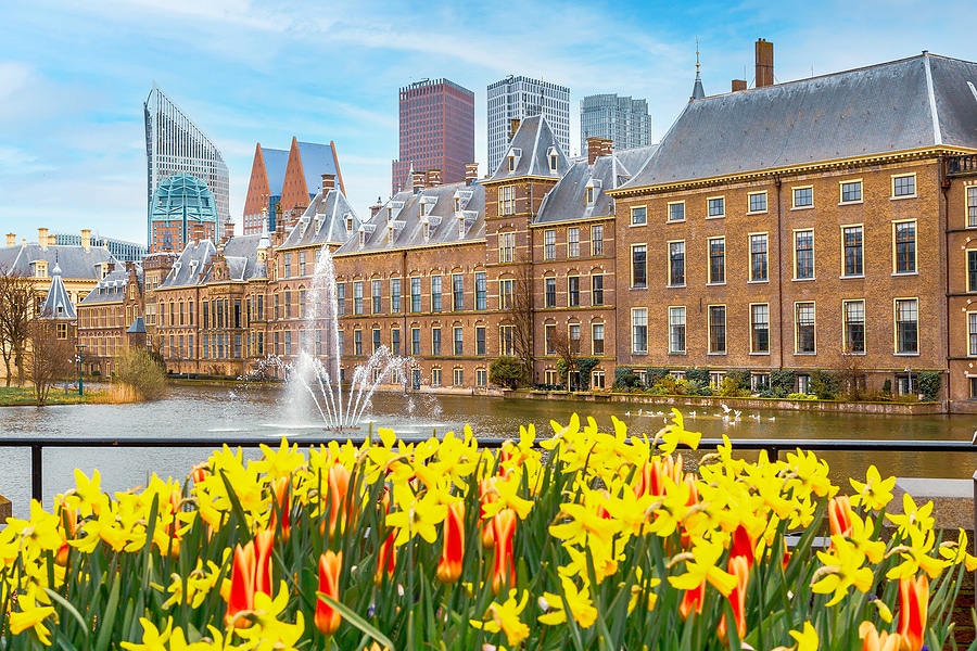 Ancien bâtiment à La Haye avec des gratte-ciel en arrière-plan et de l'eau et des fleurs au premier plan