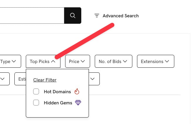GoDaddy Hidden Gems search feature