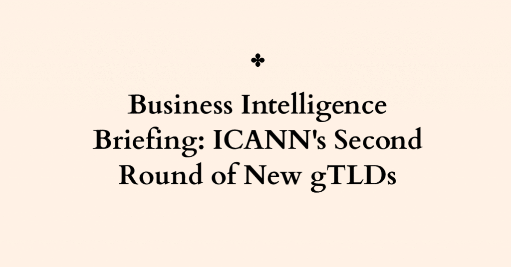 graphic with the words "business intelligence briefing: ICANN's second round of new gTLDs"