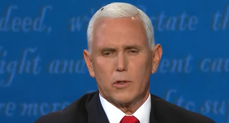 A picture of a fly on Mike Pence's head at vice presidential debate