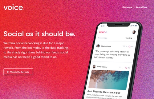 Screenshot of Voice.com, a new blockchain based social media platform
