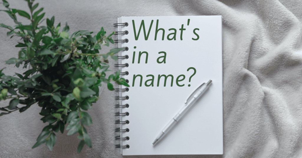 Picture of a notebook with the words "What's in a name". A green plant is to the left and a pen rests on the notebook.